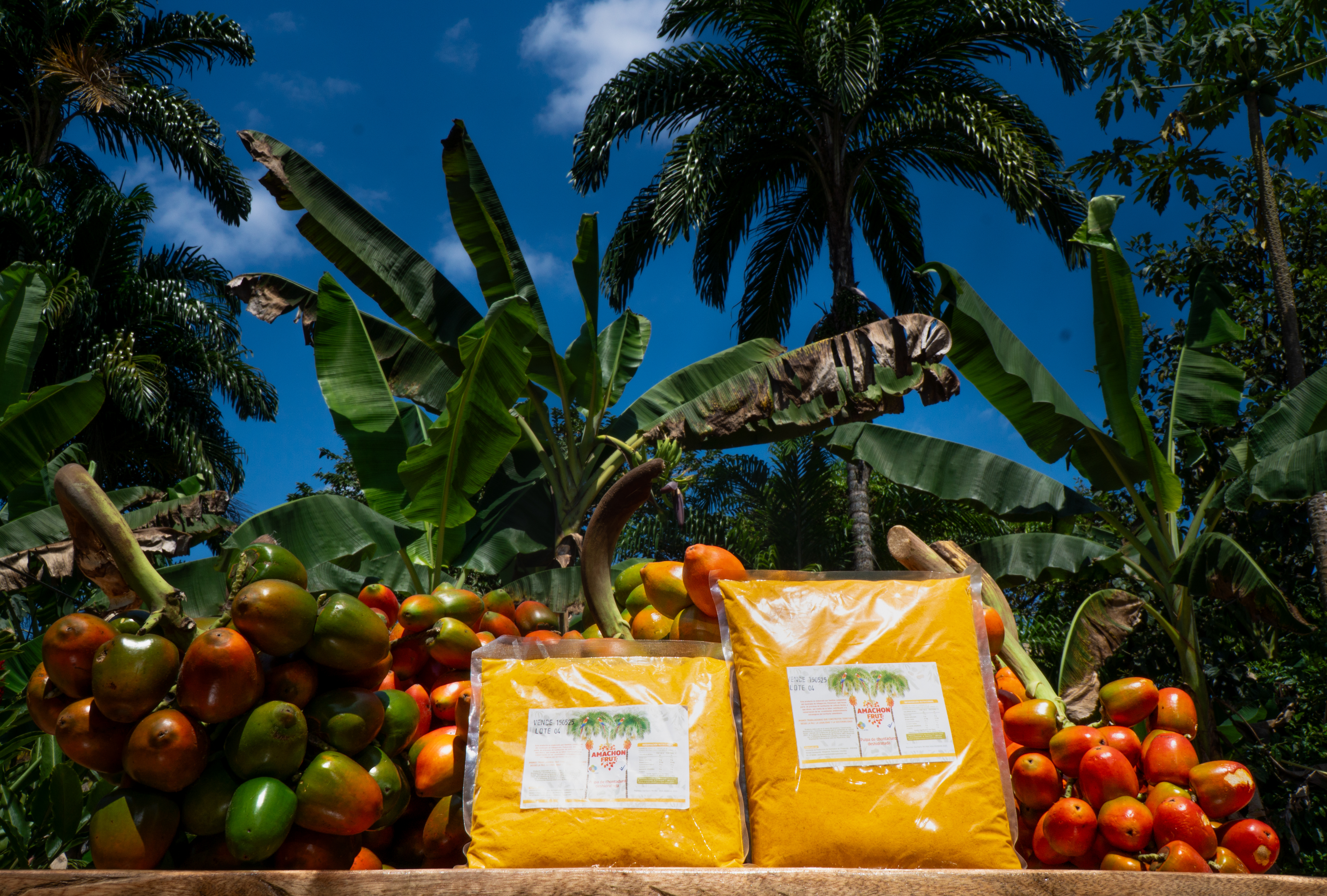 Harina de Chontaduro