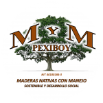 M y M Pexiboy