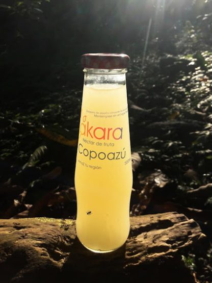 Mácara Néctar de Fruta Copoazú