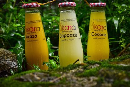 Mácara Néctar de Fruta Arazá - Image 3