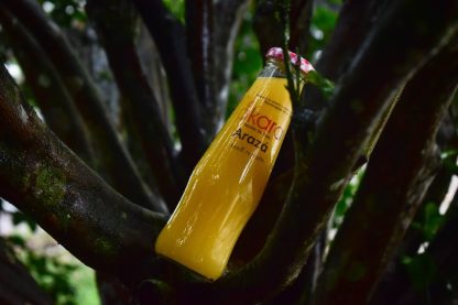 Mácara Néctar de Fruta Arazá
