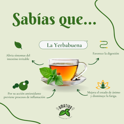 Caja de Aromática Yerbabuena - Image 2