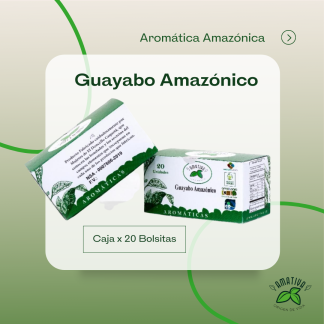 Caja de Aromática Guayabo Amazónico