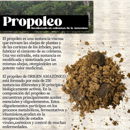 Propóleo Compuesto - Image 4