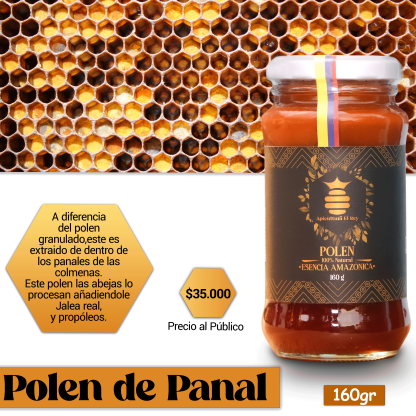 Polen Panal - Image 2
