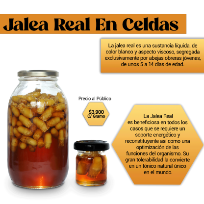Jalea Real en Celdas - Image 2