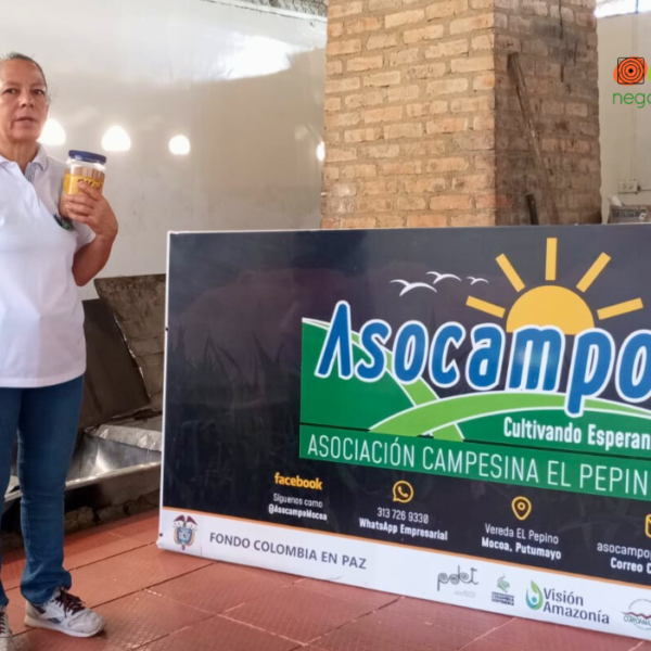 ASOCAMPO: Panela Artesanal y Tradición Campesina en&hellip;